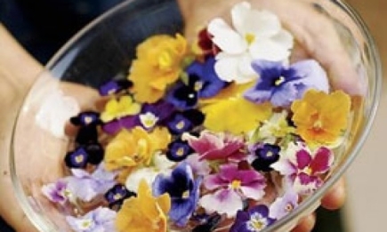 Кулинария и цветы: украшение стола, торты в виде цветов, пирожные