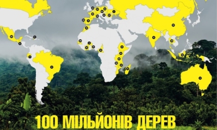 Фонд Yves Rocher висадив 100 мільйонів дерев у світі