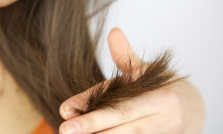 Секущиеся кончики: как вылечить волосы и понять почему они секутся