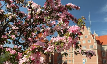 Аномально теплий квітень і майже літній травень: якою буде весна 2026 в Україні