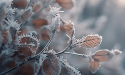 Від тепла до снігопадів: якою буде погода в Україні у листопаді 2023 року?
