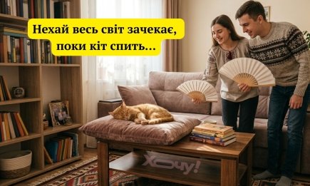 Ці вусаті пустуни змусять вас реготати: добірка найкращих фотоприколів та вірусних мемів з котами