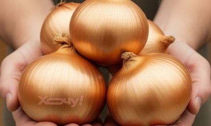 Эти сорта вырастут даже у ленивых: 5 самых устойчивых видов озимого лука, которые не боятся морозов