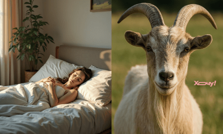 Приснилась коза? Вот о чем предупреждает такой сон женщин и мужчин