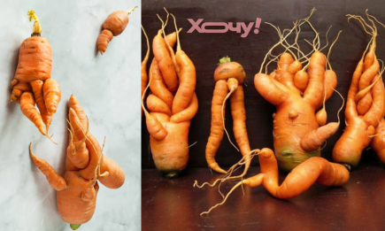 Чому замість моркви виростають кривульки: ви самі робите так, що вона росте покрученою