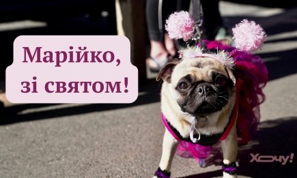 Вместо банальных и сухих слов: веселые и забавные поздравления с Днем ангела для Машеньки