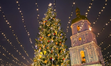 Стало известно, будут ли устанавливать в этом году главную елку страны в Киеве