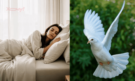 Приснились голуби: что это значит по толкованиям Ванги, Нострадамуса, Лоффа и других ясновидящих