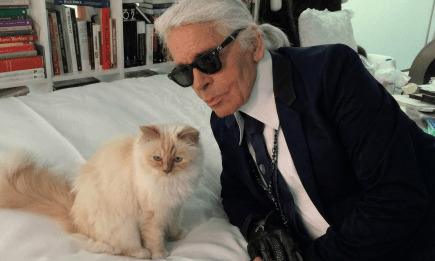 Родственники Карла Лагерфельда хотят отсудить большое наследство у самой богатой кошки мира