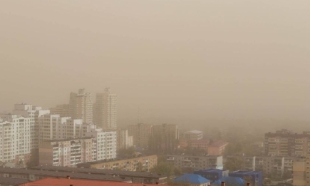 Киевскую область накрыла пылевая буря: уже есть пострадавшие (ФОТО+ВИДЕО)