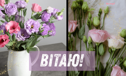 День ангела Платона: найкращі привітання та атмосферні листівки з іменинами — українською