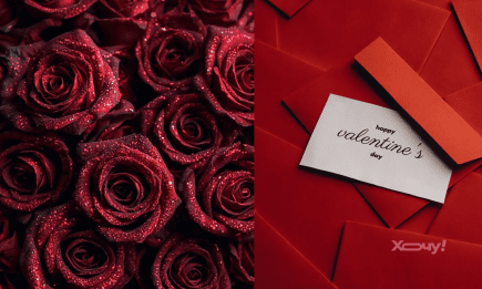 5 чи 7 троянд на День Валентина? Ось скільки квіток має бути у букеті для коханої