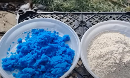 “Блакитний дощ” для вашого саду: як правильно розводити бордоську суміш