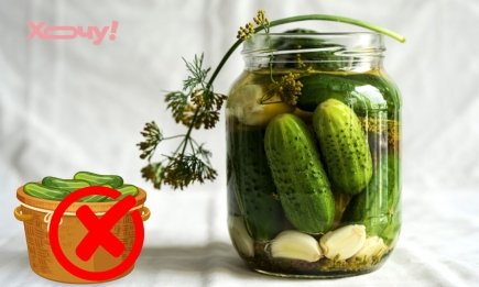 Эти огурцы выбрасывайте сразу: названы 3 сорта, которые нельзя консервировать
