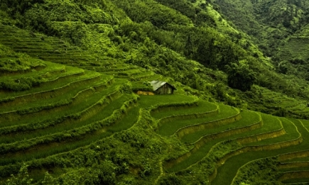 Тест: Вьетнам — что вы знаете об этой экзотической стране?
