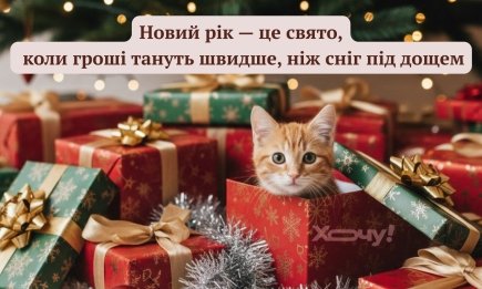 Хорошие гости – это те, кто приносит с собой больше, чем съедает: подборка коротких анекдотов, которые сделают вас душой новогодней компании