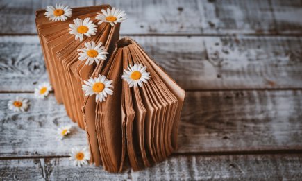 ТОП-10 книг на лето для девушек: эти истории надолго останутся в вашем сердце ❤️‍🔥