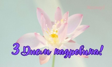 Тільки "своїми словами" і жодних банальностей: привітання з Днем кадровика для справжнього профі