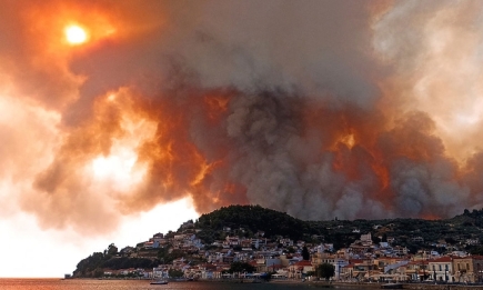 Украинские спасатели отправились тушить лесные пожары в Греции