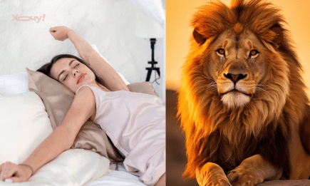 Наснився лев? Ось кому варто бути обережним і не сідати в транспорт