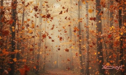 Никто не догадается, о чем вы мечтаете: быстрый психологический тест по выбору, который поразит точностью