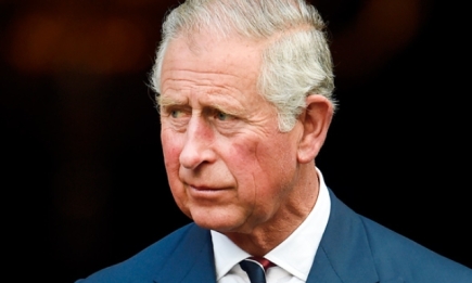 СМИ: принц Чарльз хочет лишить сына принца Гарри и Меган Маркл королевского титула