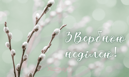 С Вербным воскресеньем 2026! Красивые картинки и теплые пожелания в прозе
