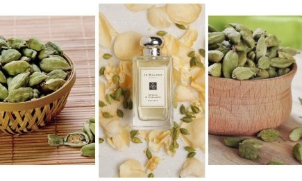 Не только кофе! 5 лучших духов, которые заставят вас влюбиться в ноту кардамона (ФОТО)