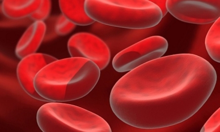Ученые научились создавать стволовые клетки из крови