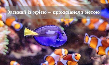 Что поставить на телефон, чтобы мотивировать себя: лучшие цитаты, чтобы зарядиться энергией на целый день