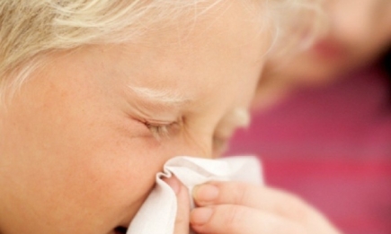 Откуда берется аллергия и как с ней бороться?