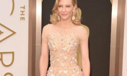 Названа обладательница самого дорогого наряда на церемонии Оскар 2014