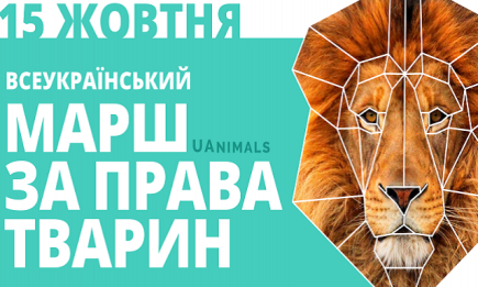 Всеукраинский марш за права животных в самых крупных городах страны: привлечь внимание к проблемам жестокого обращения с животными