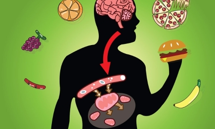 Дробове харчування та швидкий метаболізм, або Як ми самі себе обманюємо