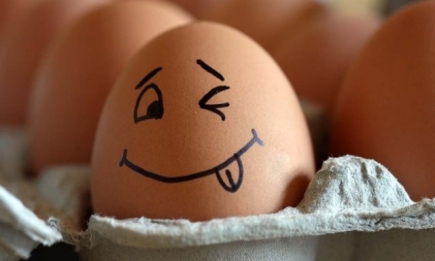 Побившее рекорд куриное яйцо оказалось рекламой интернет-магазина (ФОТО)