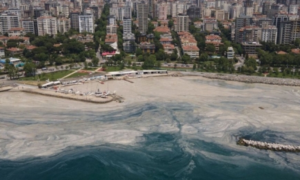 Экологическая катастрофа? В Турции Мраморное море покрылось серой слизью