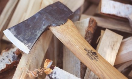 Где взять дрова в Украине осенью 2025 года: как получить бесплатно и сколько сейчас стоят