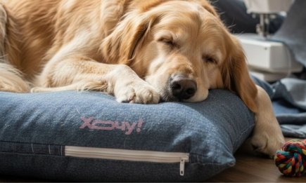 Бюджетный декор и не только: 6 неожиданных способов использования старых подушек, которые удивят