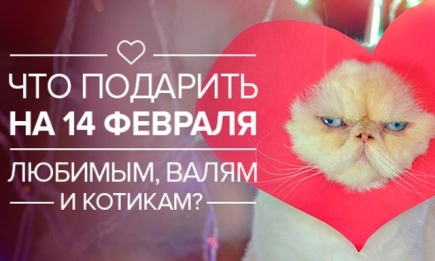 Девушкам, парням и даже котикам: что подарить на День святого Валентина