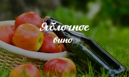 Рецепт домашнего вина из яблок: как приготовить вкусный сидр всего из двух ингредиентов
