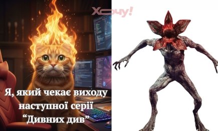 Демоґорґон vs Дімагордон: добірка найсмішніших мемів з культового серіалу "Дивні дива"