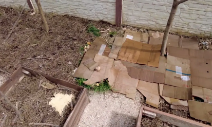 Этот "мусор" умные дачники собирают всю зиму: настоящее сокровище на огороде