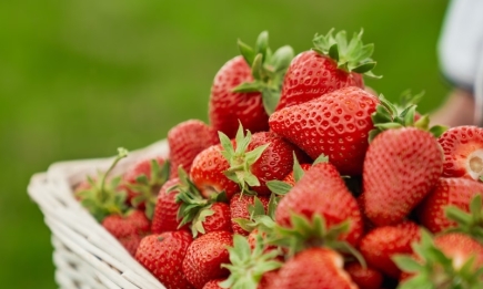 Не тільки смачно, але й корисно: декілька причин частіше їсти полуницю
