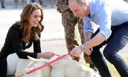 Герцоги Кембриджские приняли участие в дрессировке собак в кинологическом центре