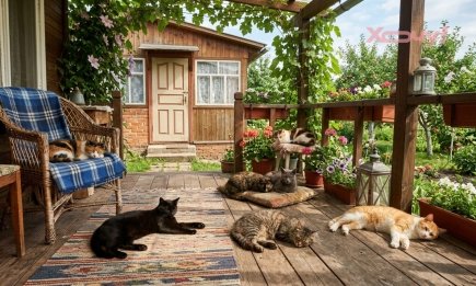 Обратите внимание на поведение любимца: 5 удивительных примет, как кот может предсказать вашу судьбу