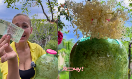 Десять литров пьянящего напитка всего за 30 гривен: успейте сделать эту бюджетную заготовку (ВИДЕО)