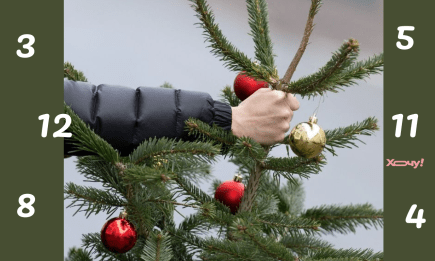 Убираем елку в правильные дни, чтобы не вынести иголки вместе с удачей — по нумерологии