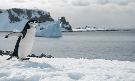 Необычные и редкие профессии в мире