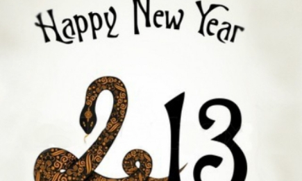 Открытки с Новым 2013 годом Змеи