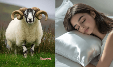 Приснились бараны? Прорицатели рассказали, о чем предупреждают эти животные во сне
